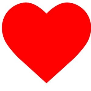 Meet your Posher, Shanaya